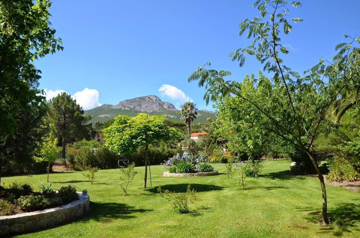 A well-maintained garden with a variety of trees and shrubs, a stone retaining wall, and a mountain in the background.