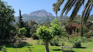 A well-maintained garden with a central tree, a stone pathway, and a bench. - Villa Castagna Dans un Splendide Parc Fleuri, Calme à 900 m de la Plage (Calvi)