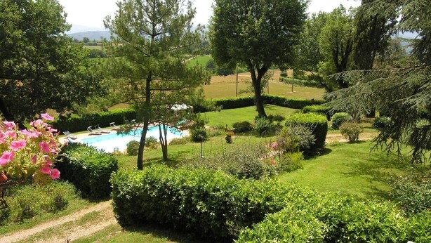A landscaped garden with a swimming pool, surrounded by various trees and shrubs.