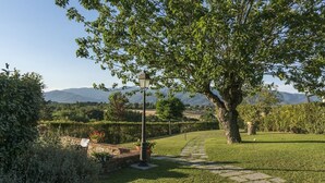 Un sendero en un jardín conduce a un gran árbol con una farola, rodeado de setos cuidados y con vistas a montañas lejanas.