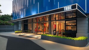 A modern building with a prominent 'TRIBE' sign, large glass windows, and a well-lit entrance area.