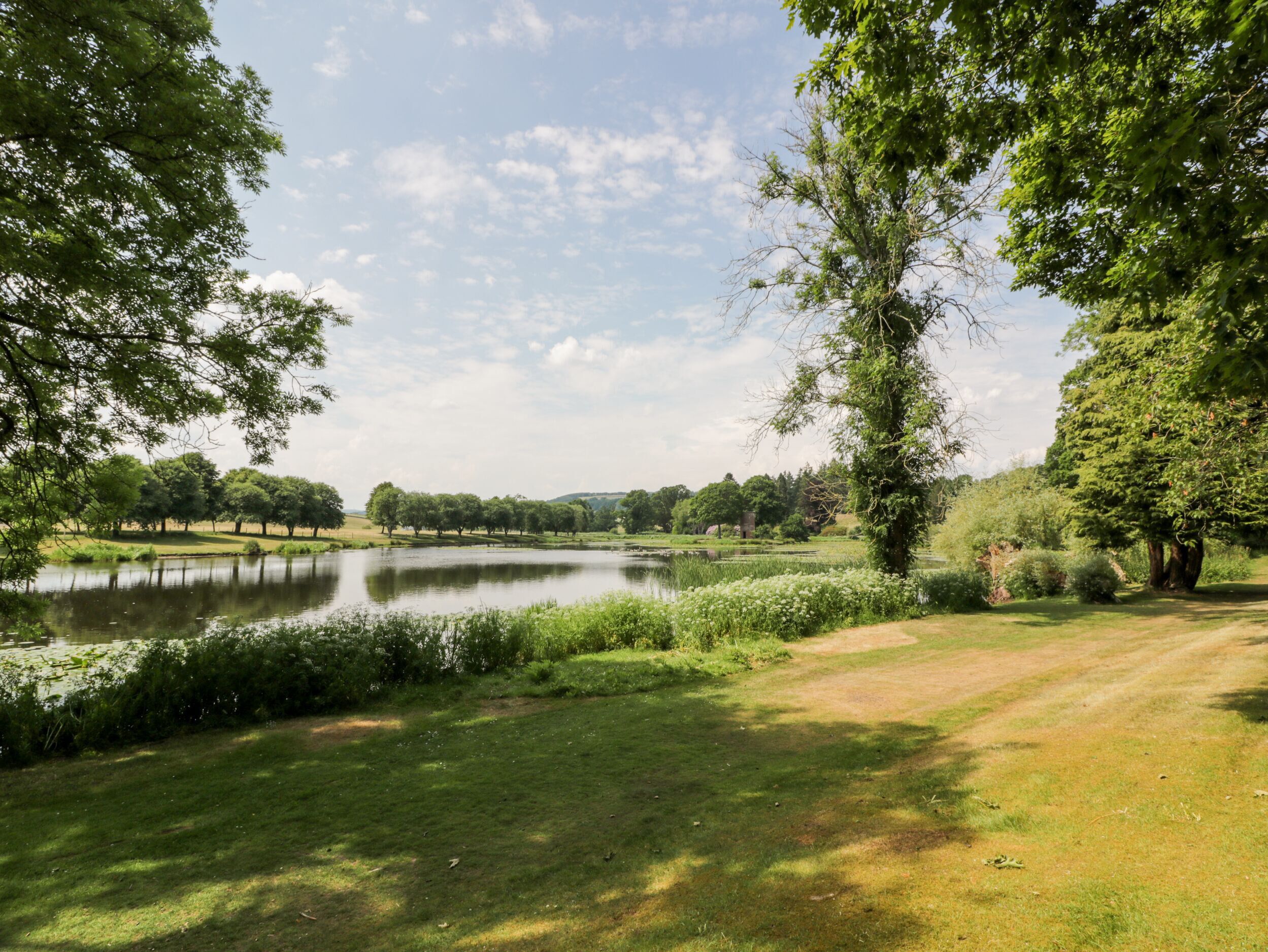 Eine friedliche Seenlandschaft mit Wiese, Bäumen und blauem Himmel.