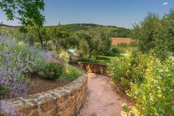 A stone pathway leading through a lush garden with various plants and flowers.