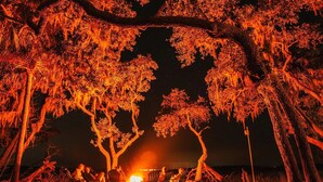 A nighttime scene with a group of people seated around a campfire under large trees with Spanish moss. - PRIVATE ISLAND - 110 Acres in SC (Okatie)