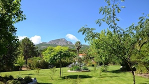 Un jardí ben cuidat amb diversitat d'arbres i arbustos, una paret de pedra de contenció i una muntanya al fons.