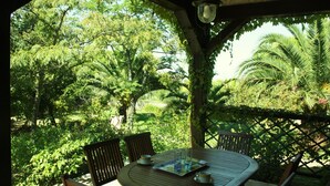 Un pati exterior amb una taula rodona de fusta i cadires, envoltat de vegetació i arbres frondosos.
