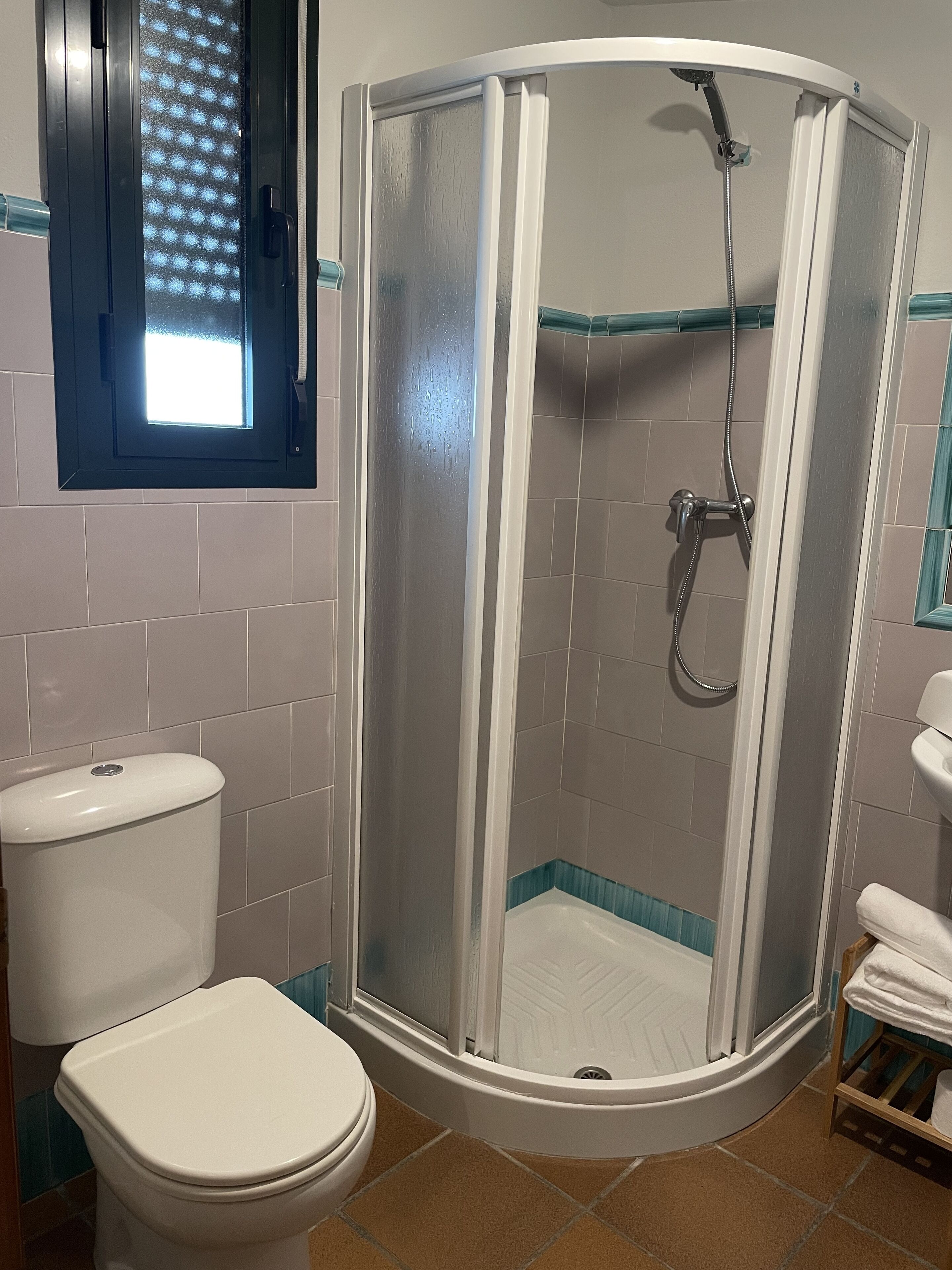 A bathroom with a white toilet, a glass-enclosed shower, and a window with a frosted pattern.