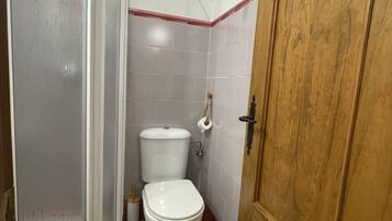 Baño con ducha, inodoro y puerta de madera.