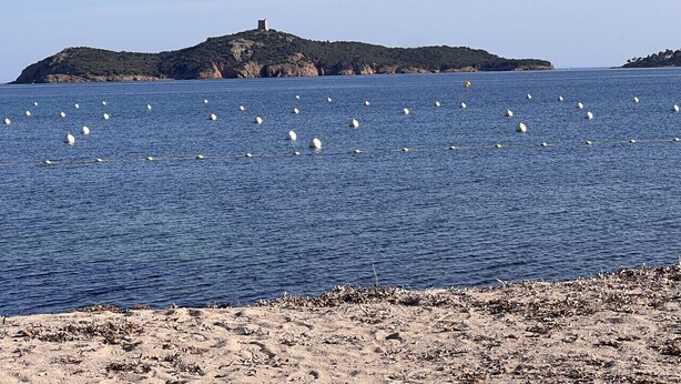 A beach with a sandy shore and a body of water.