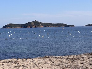 A beach with a sandy shore and a body of water.
