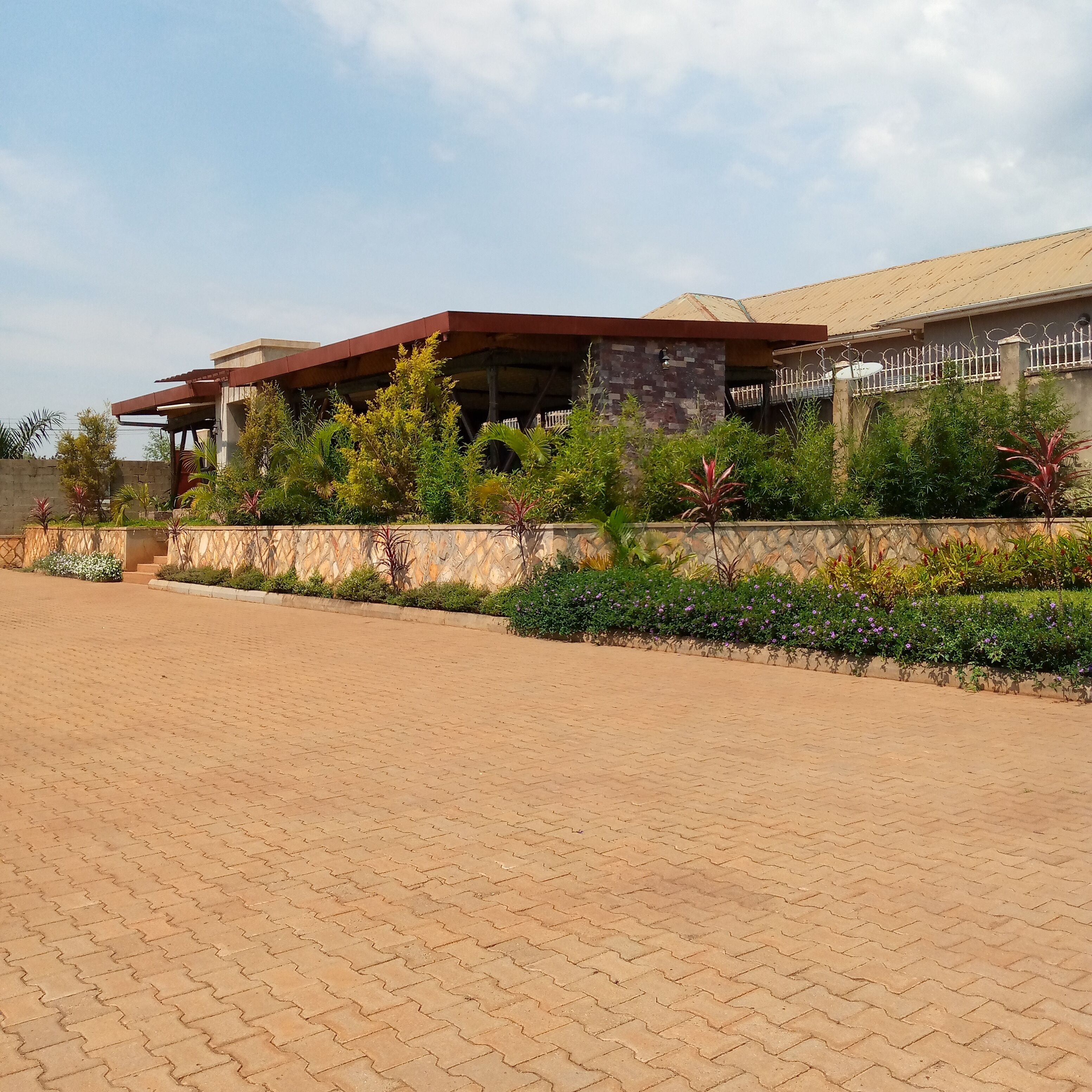 テラス / パティオ