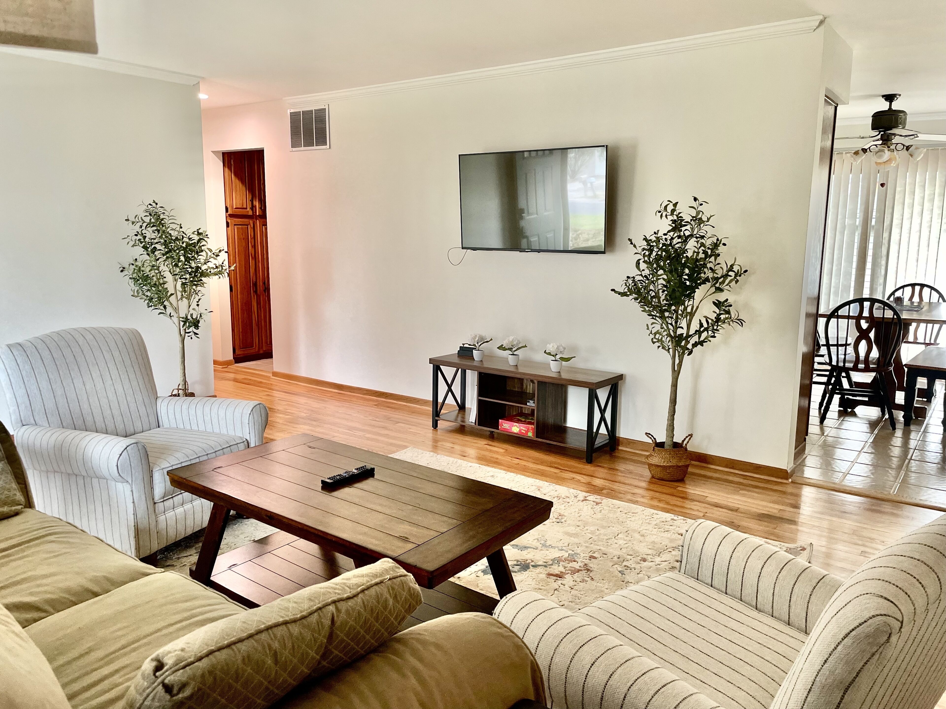 TV connectée, cheminée, livres