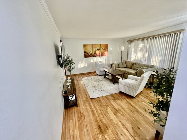 Smart TV, fireplace, books