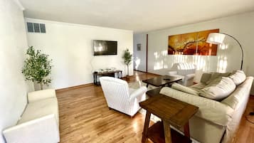 Smart TV, fireplace, books
