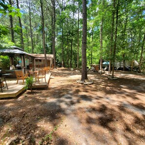 A forested campsite with a covered dining area, picnic tables, and a hammock. - Tiny house studio in woods, accommodates 4 people total! (Richlands)