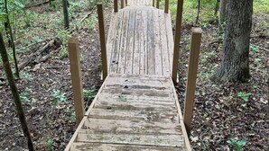 A wooden boardwalk leading through a forested area with trees on either side.