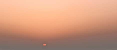 شاطئ