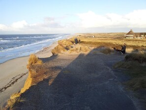 Am Strand