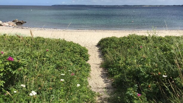 Un sendero bordeando la playa que lleva al mar, con aguas cristalinas y una costa distante.
