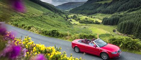 A red convertible car driving on a winding road through a green valley with hills and forests.