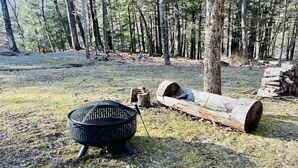 A forested area with a black metal basket on the ground, a large log, and a tree stump.