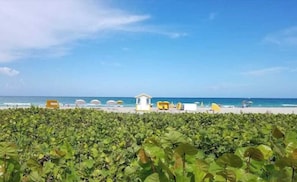 Beach nearby - Comfy Studio with Beach Access across the street (Miami)