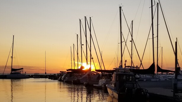 A marina with multiple sailboats docked at sunset.