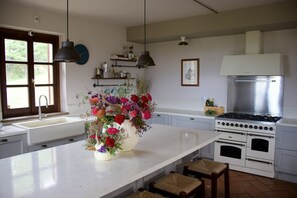 Kühlschrank, Ofen, Herdplatte, Geschirrspüler