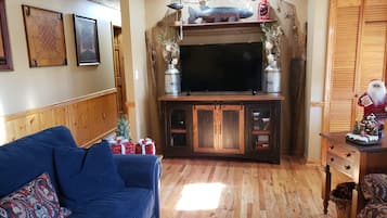 Smart TV, caminetto, lettore DVD, libri