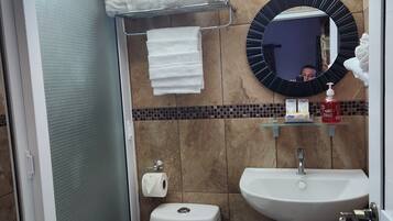 Une salle de bain équipée de toilettes, d’un lavabo et d’une douche à parois en verre.