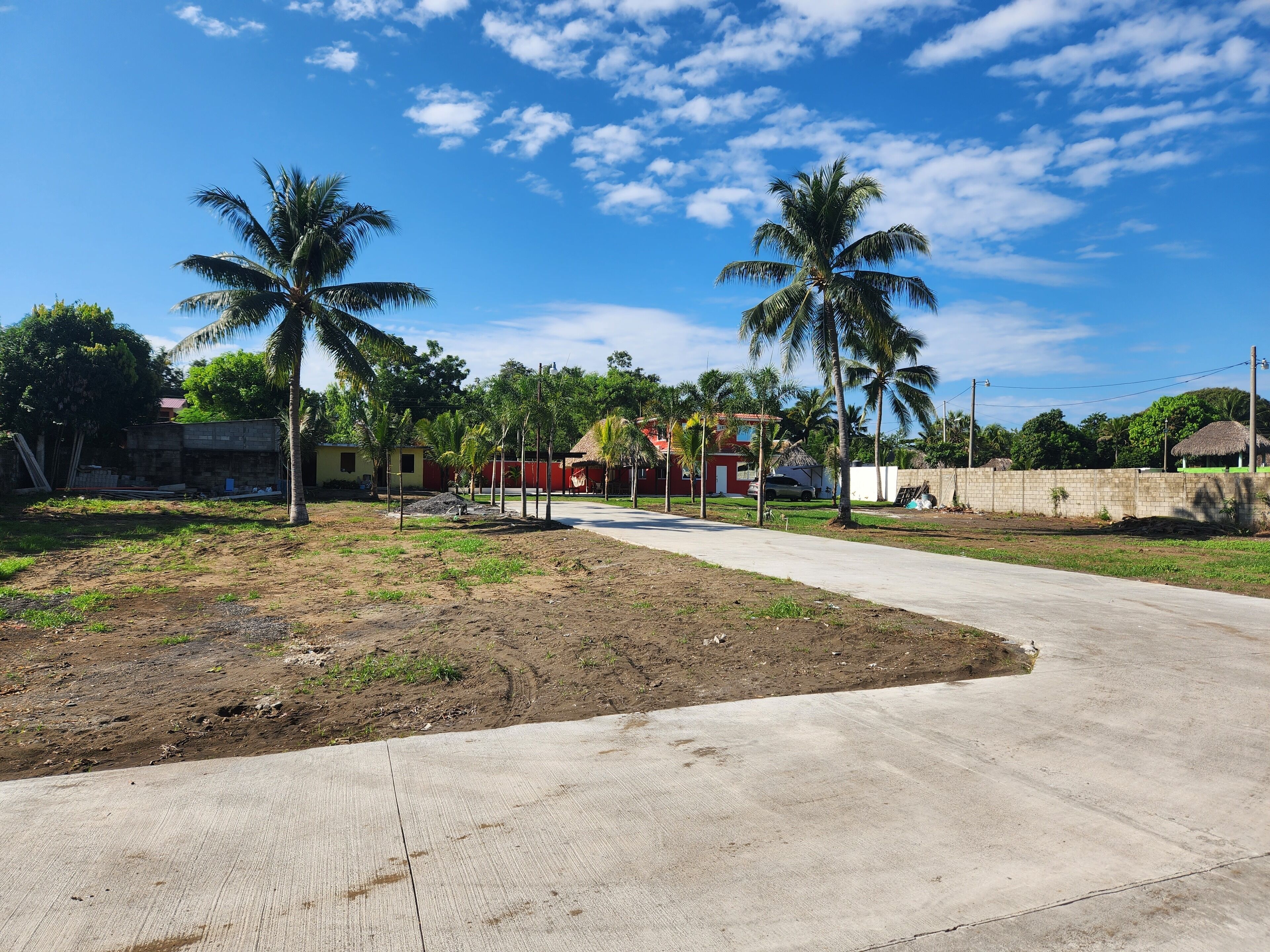 Un chemin pavé mène à un quartier résidentiel bordé de palmiers et de maisons.