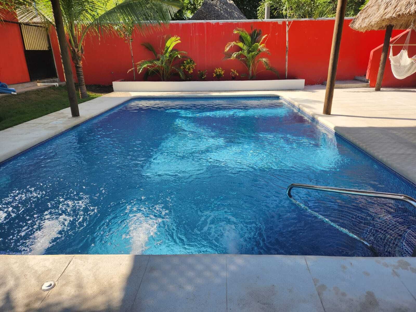 Una piscina rectangular con superficie de agua azul cristalina, rodeada por un muro rojo y palmeras.