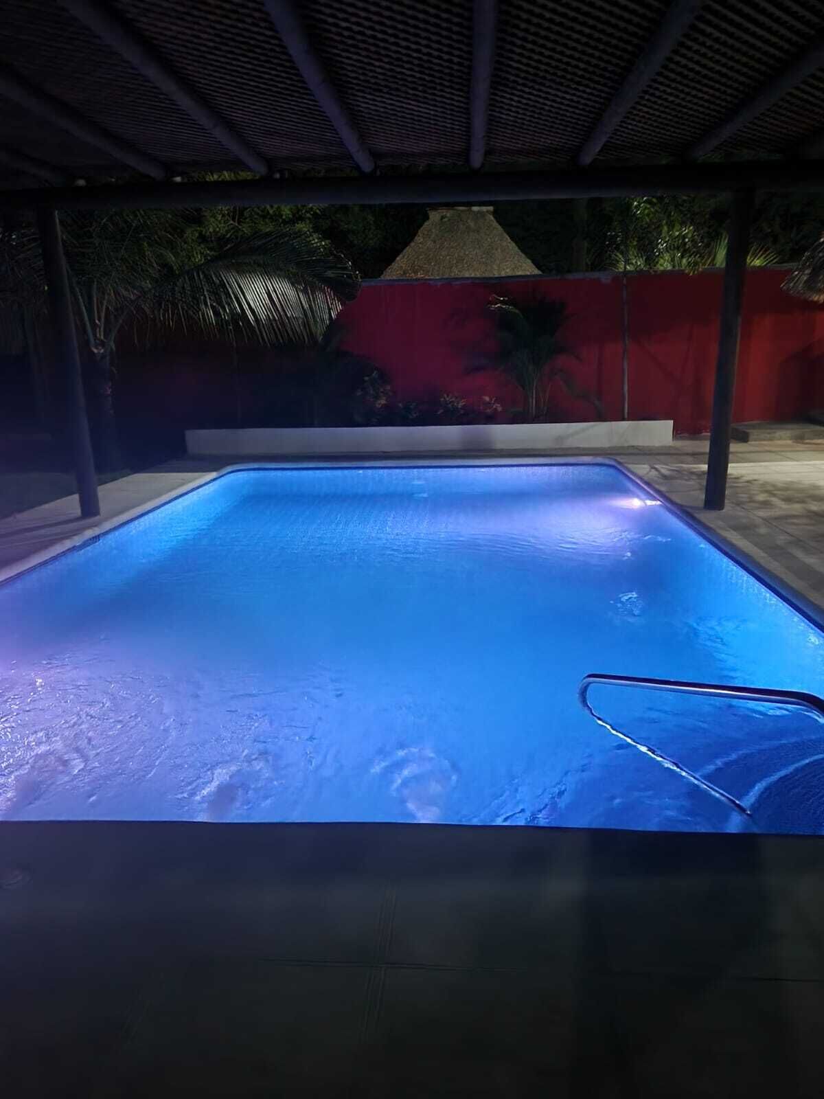 Une piscine avec un escalier en métal, entourée d’une zone abritée avec un mur rouge et des palmiers.