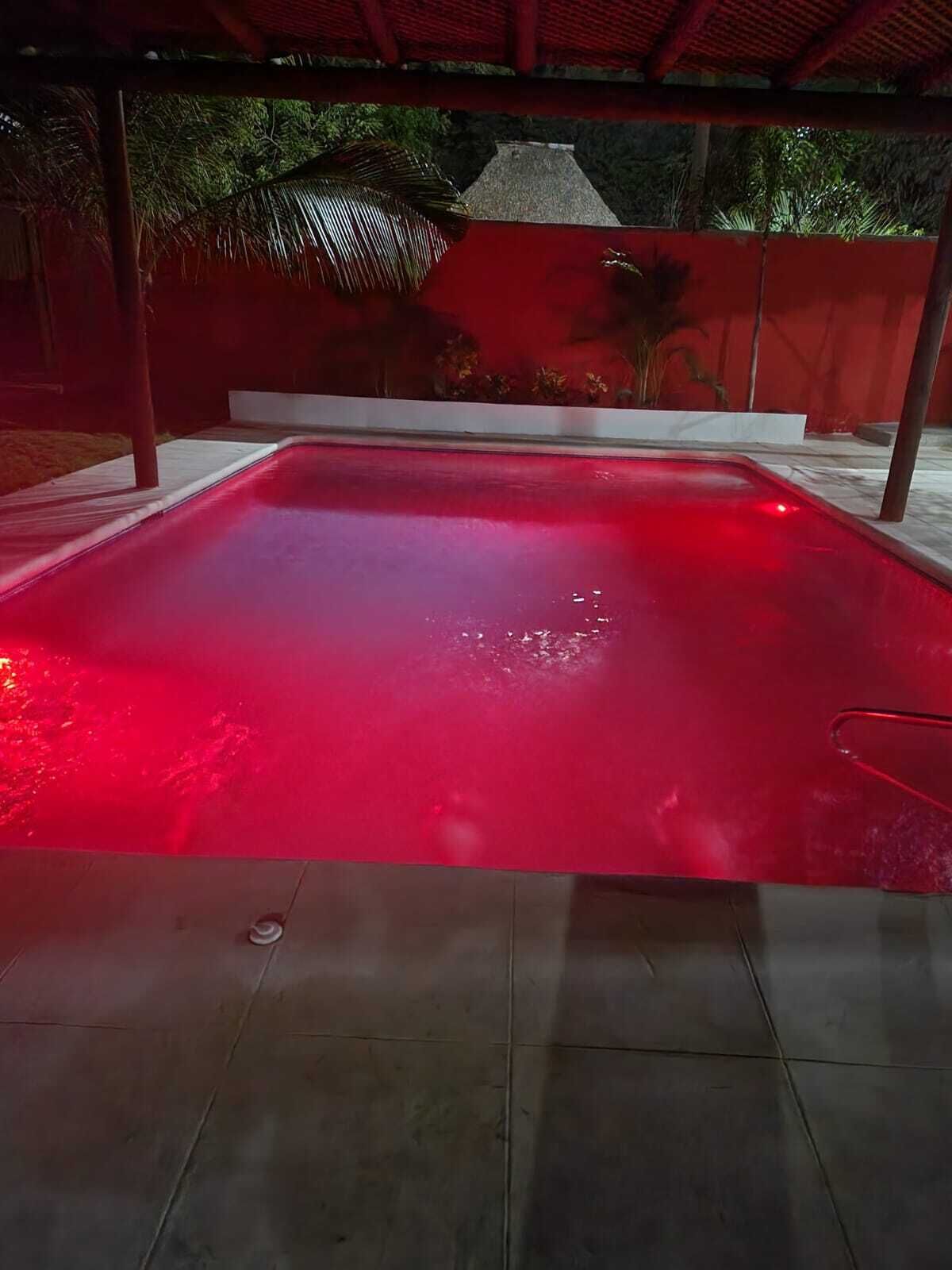 En swimmingpool med et rødt oplyst vandelement, omgivet af et overdækket område med en rød væg og palmer.