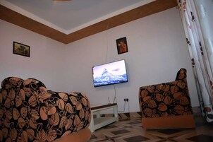 24-英寸智能电视（配备数码频道）