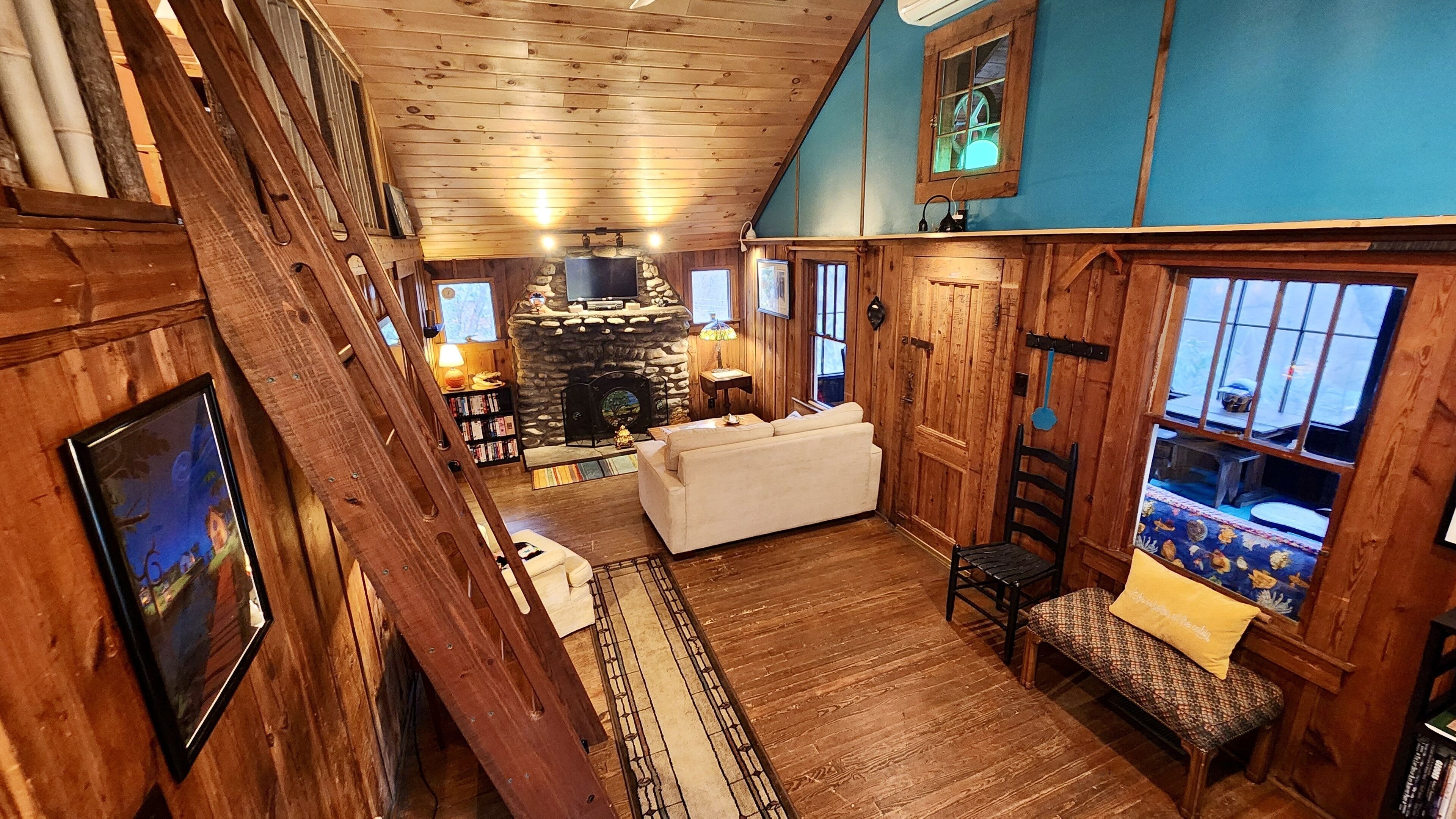 Fireplace, video games, books, music library