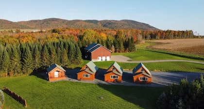 Cozy lodge room #3