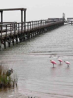 Miscellaneous - Bay View Camper Space RV Sites - 2 available (Rockport)