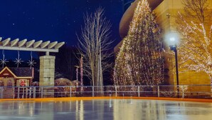 An ice rink with a wooden fence, a Christmas tree, and a building with lights.