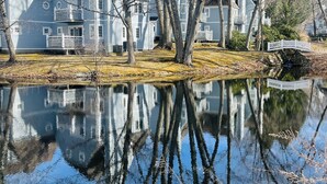 A residential area with a house, trees, and a pond reflecting the surroundings.