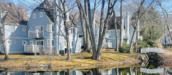 Villa Noir- 3 min from Mohegan Sun with fireplace, jacuzzi, sauna/pools, and spa