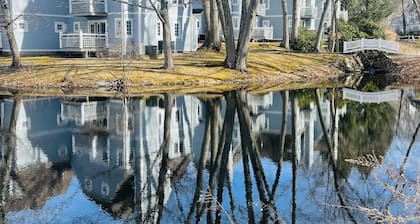 Villa Noir- 3 min from Mohegan Sun with fireplace, jacuzzi, sauna/pools, and spa