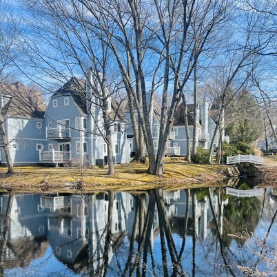 Villa Noir- 3 min from Mohegan Sun with fireplace, jacuzzi, sauna/pools, and spa
