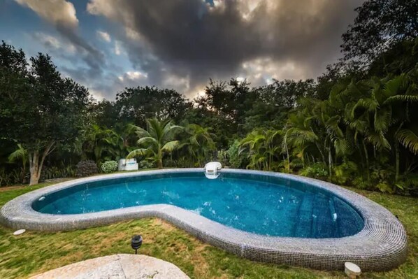 A curved swimming pool with a mosaic edge, surrounded by lush greenery and palm trees.