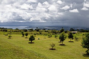 Àrea exterior de l'allotjament