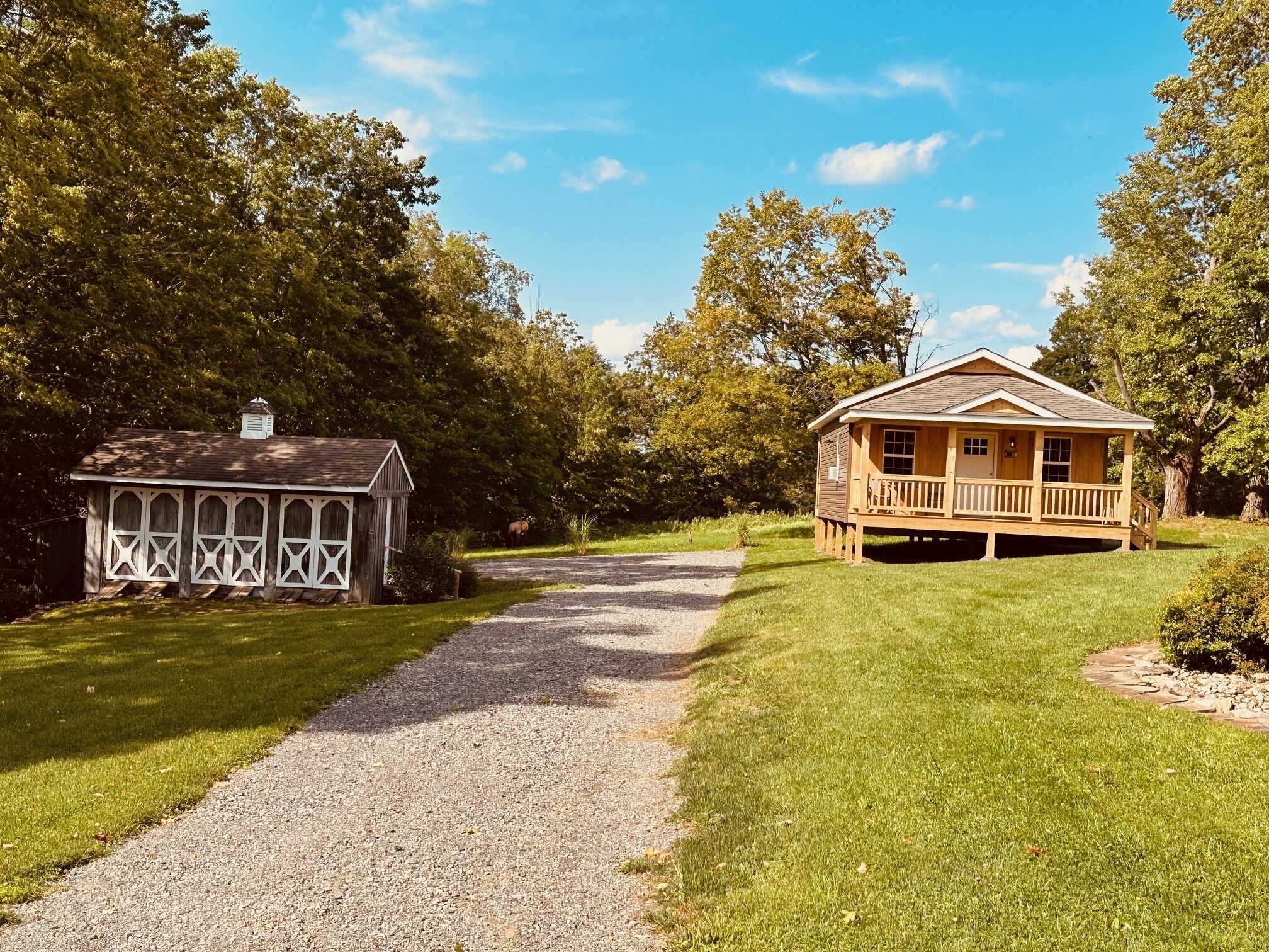 Un chalet rustique doté d’un porche, entouré d’une végétation luxuriante et accessible par un chemin de gravier.