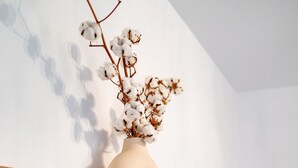 Un interior moderno con una estantería de madera que sostiene un jarrón con ramas de algodón, una planta pequeña en maceta y un termómetro digital sobre una mesa de madera.