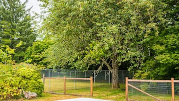 Banyera d'hidromassatge a l'aire lliure