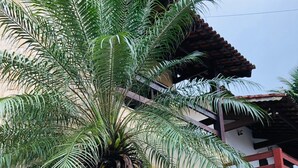A house with a stone wall, a palm tree, and a tiled pathway leading to a door. - Casa de Praia com Piscina Aquecida, ar Condicionado, Cervejeira e Bilhar!!! (Vista Linda Bertioga)