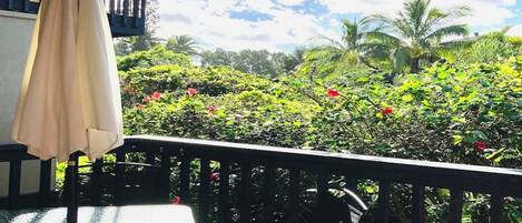 Servei de restauració a l'aire lliure